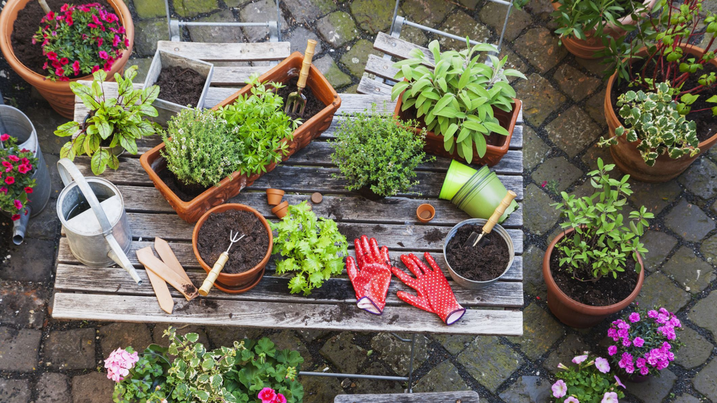 Prepare your garden for summer days